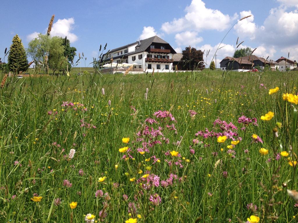 Grünbach 佛雷伦威尔特旅馆酒店 外观 照片